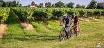 13° MTB Tra le Vigne del Ponte